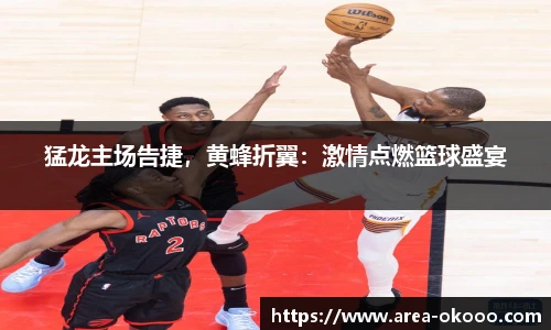 猛龙主场告捷，黄蜂折翼：激情点燃篮球盛宴
