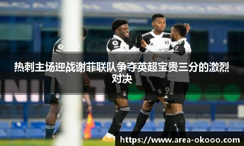 热刺主场迎战谢菲联队争夺英超宝贵三分的激烈对决